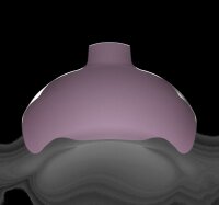 Strata-G™ Matrizenbänder mit...